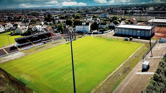 上个赛季 上个赛季