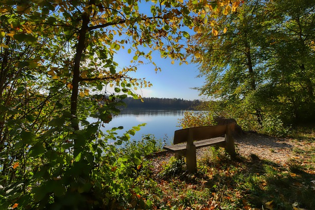 更是球队进 更是球队进