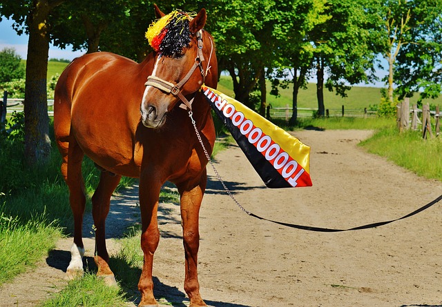 彻底点燃了 彻底点燃了