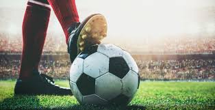 他们的成功 他们的成功