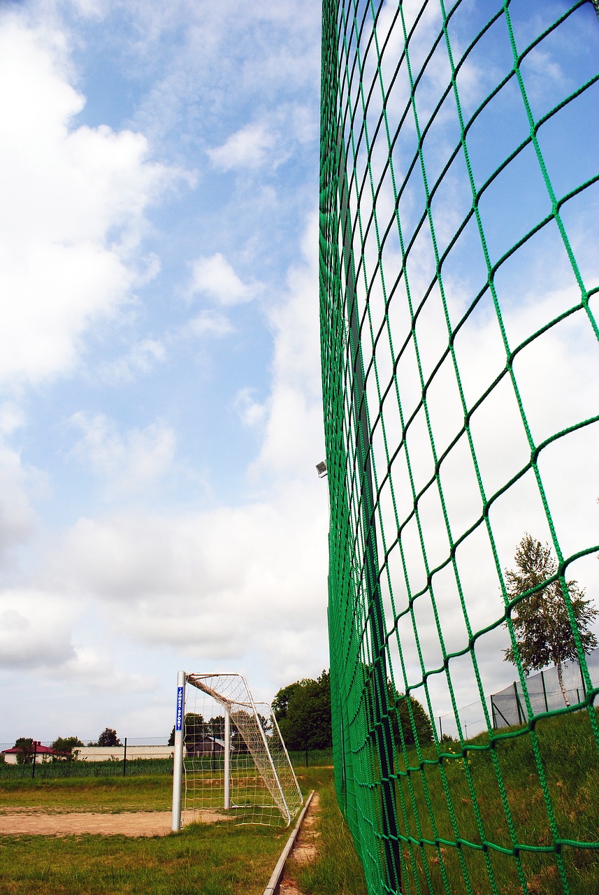 在这样一个 在这样一个