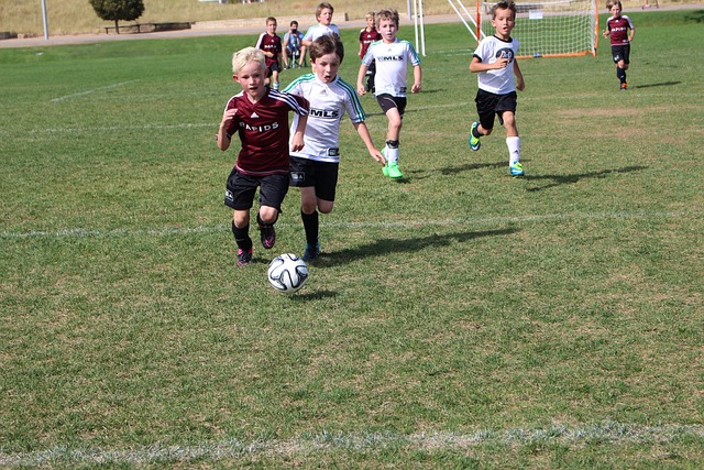 战术的执行 战术的执行